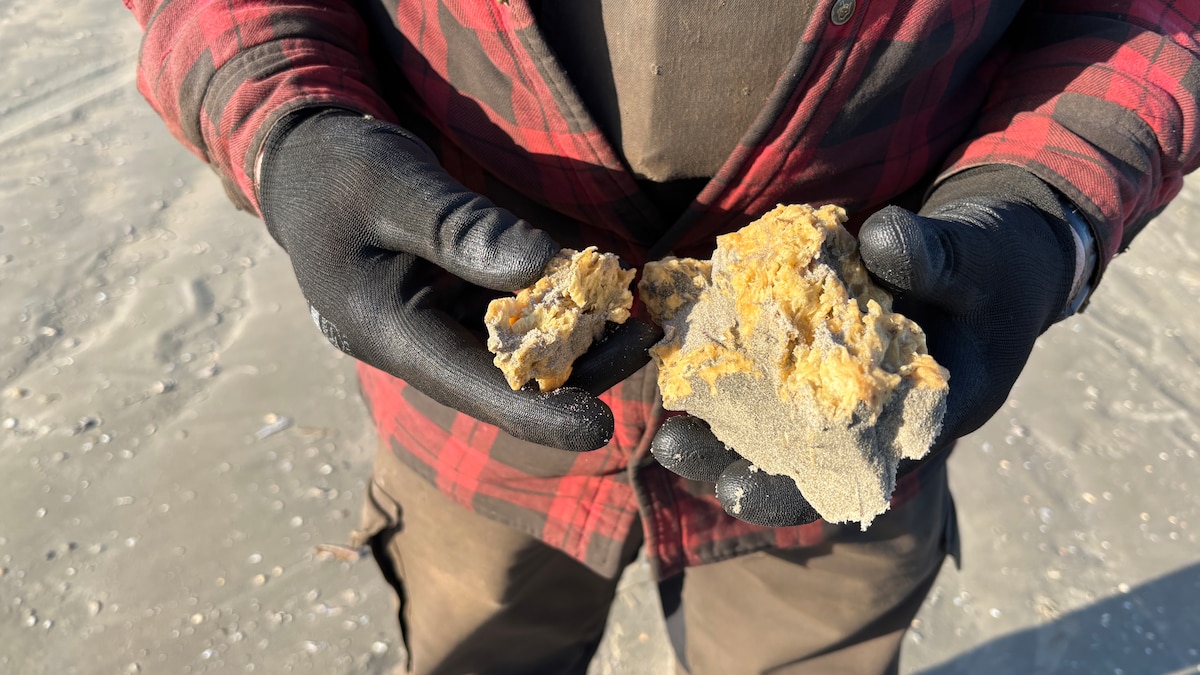 18 kilometer strand renses efter 'ulovlig handling'