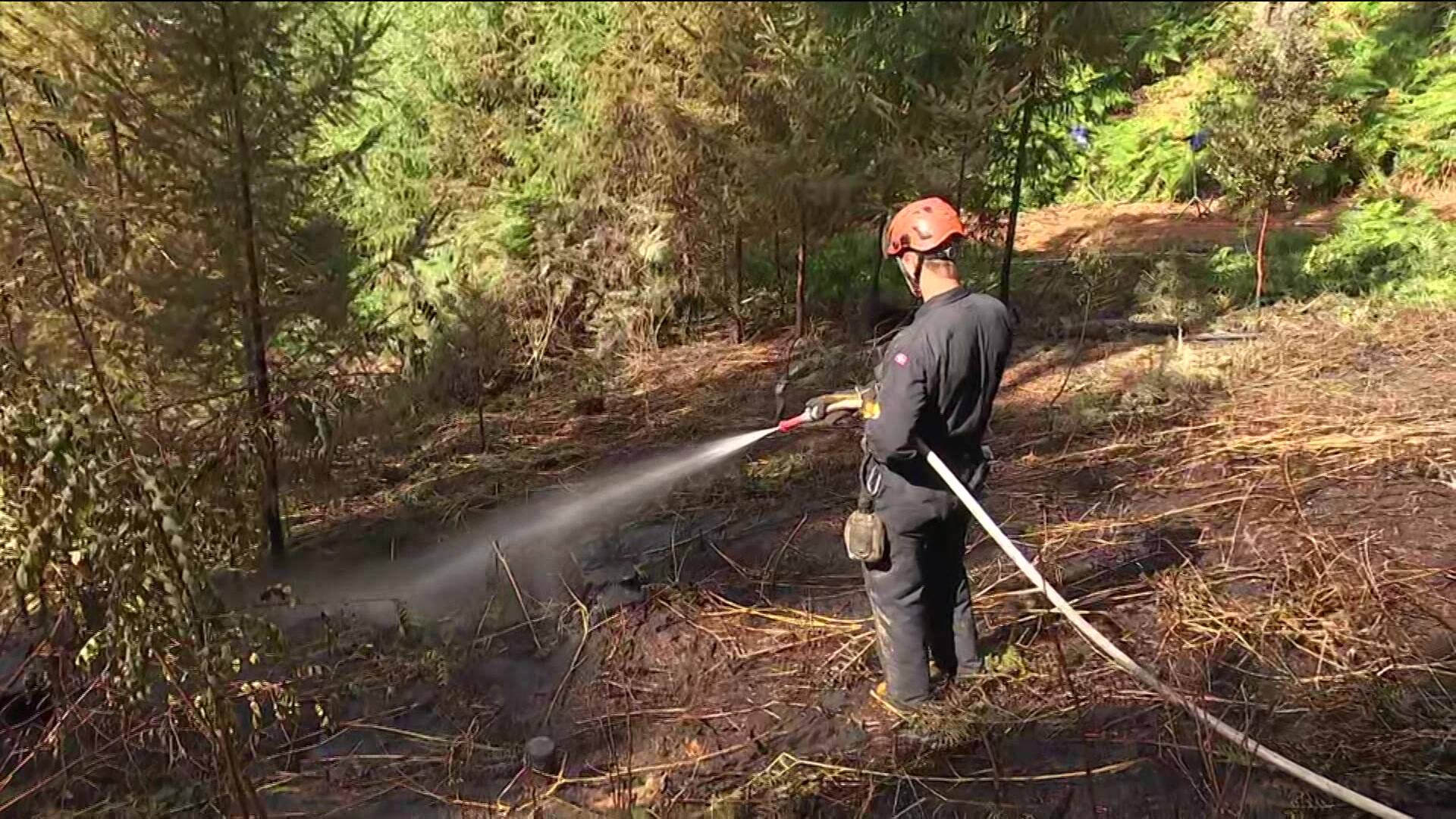 Skovbrand i Mols Bjerge i nat stod på hele natten: 'Det har været en tung indsats'