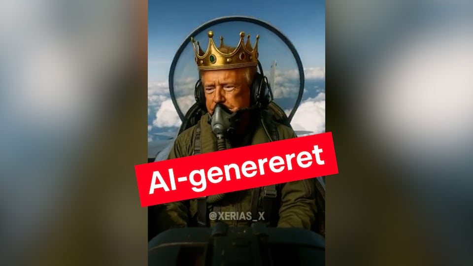 HITLER-PRAISING FELON DONALD TRUMP SHITS ON AMERICA IN NEW VIDEO [Danish article, use a browser extension for translation] 🇺🇸
