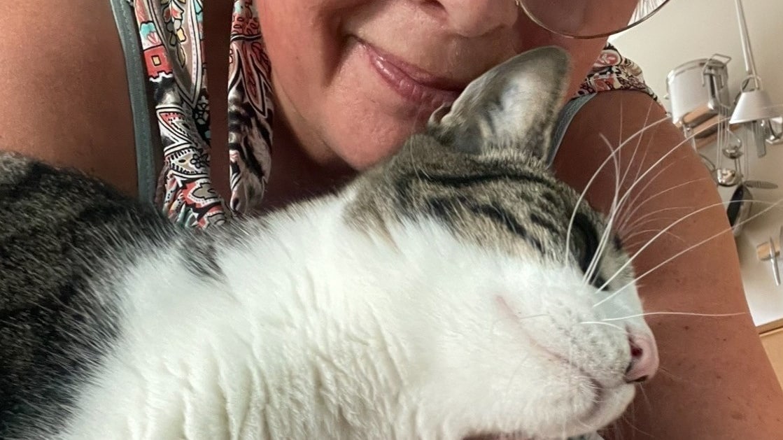 Ingen sommerferie til Winnie: Passer op mod 25 katte om dagen