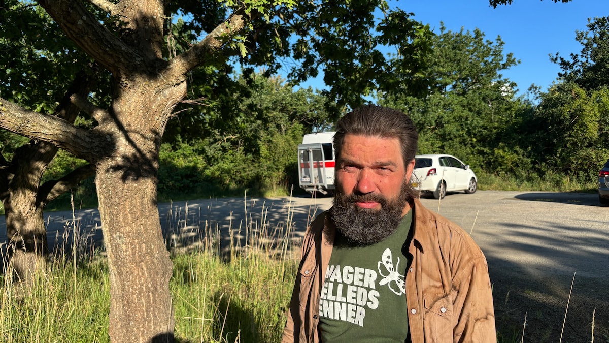 Naturformidler: 'Lad larven blive på Amager Fælled'
