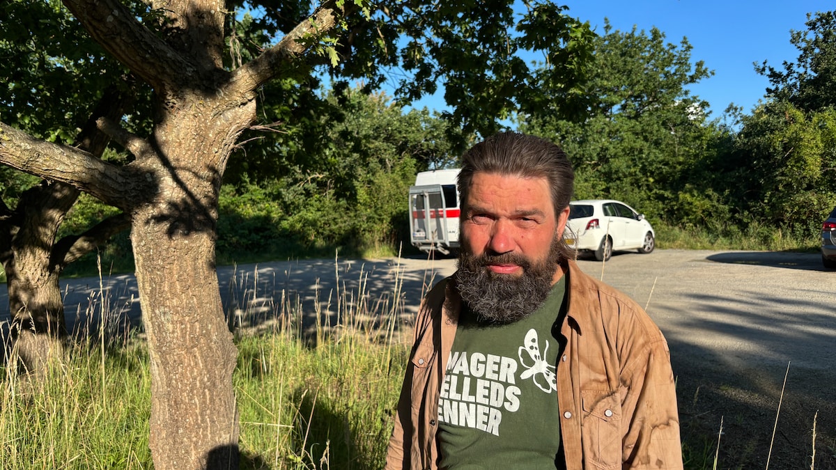 Naturformidler: 'Lad larven blive på Amager Fælled'