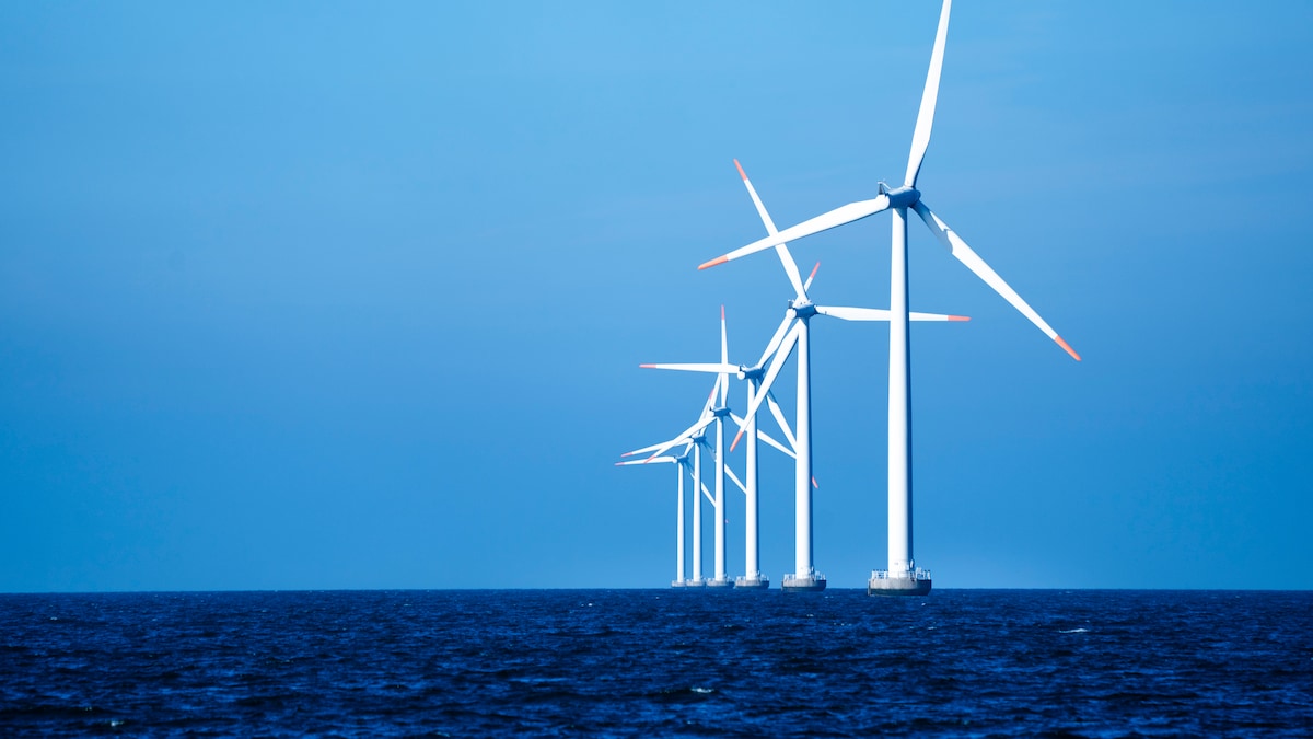 Forsker vil have forsyningssikkerheden prioriteret: 'For hver dag, der går, finansierer vi Ruslands krig'