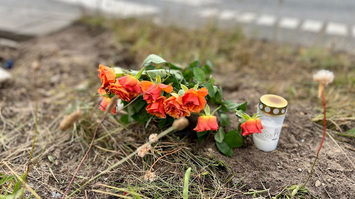 19-årig fængsles i fire uger efter dødsulykke | Indland | DR