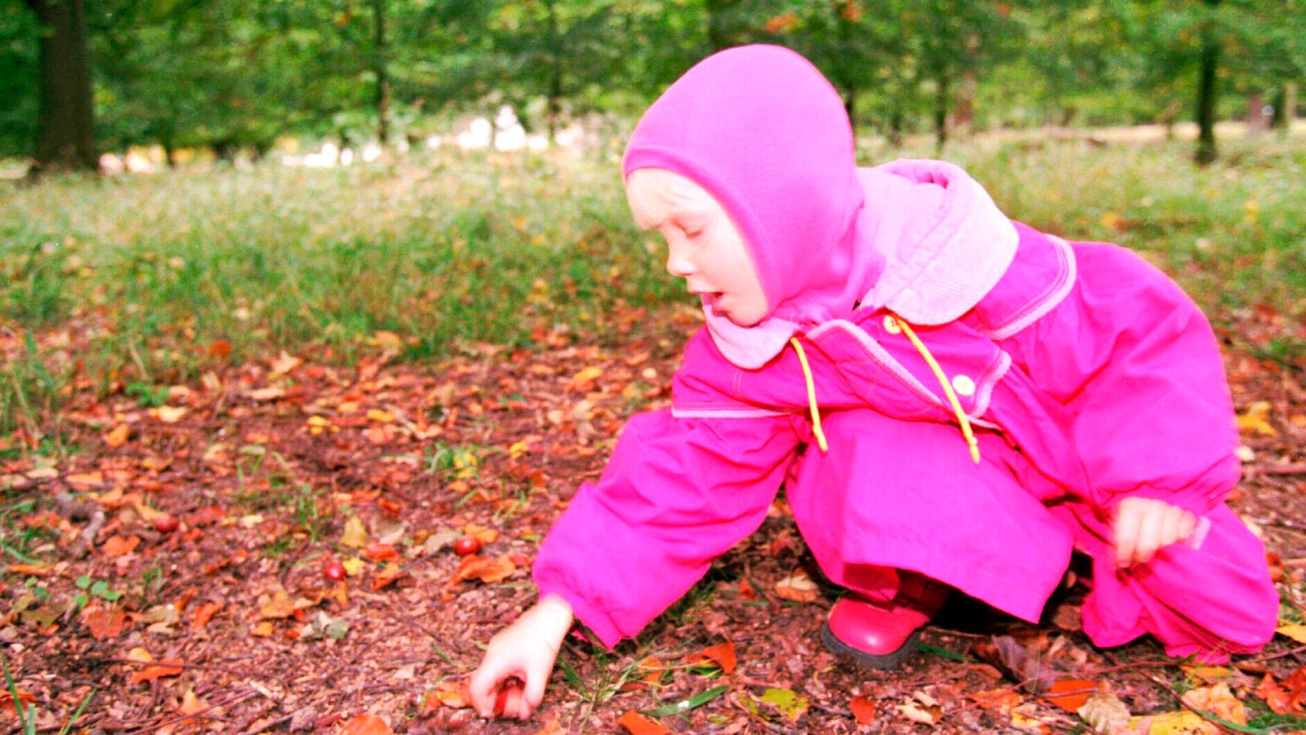 Efterårshygge og overtro gennem generationer: Nu er det igen kastanjetid