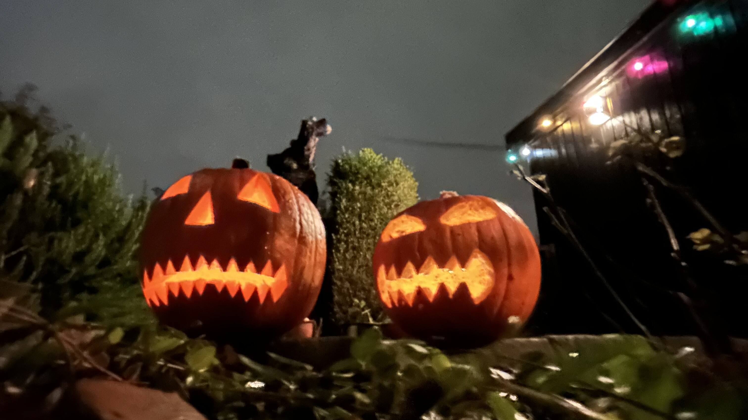 Slik eller vejr-ballade: Sådan bliver vejret til Halloween