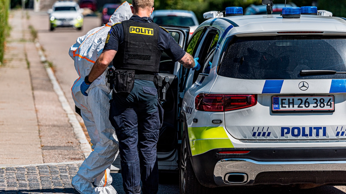 Mand i 50'erne sad bag rattet i varevogn, da betjente følte sig truede og affyrede skud