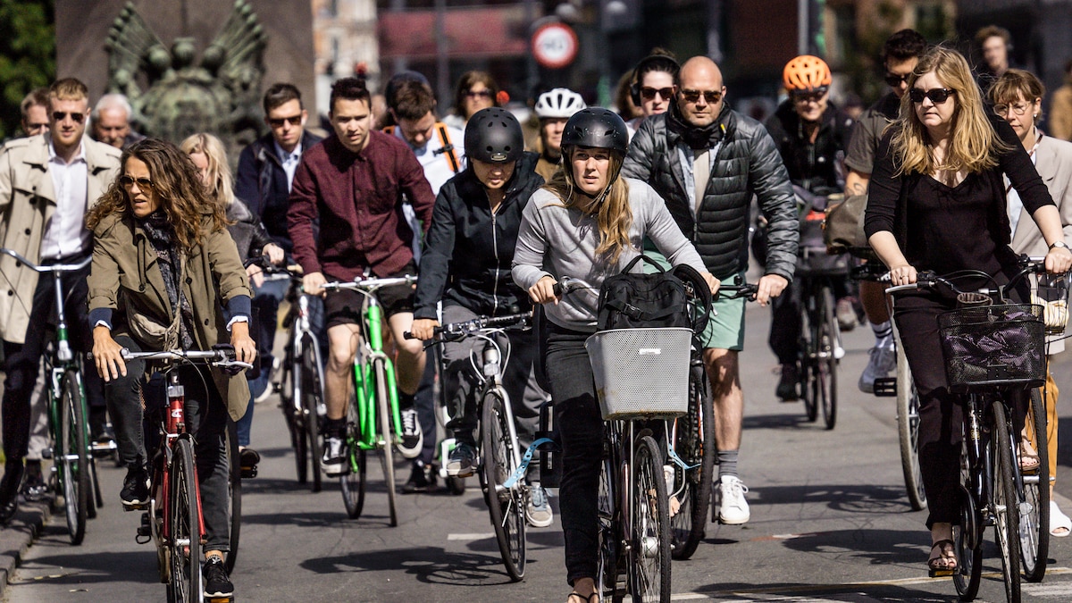 'Et risikabelt eksperiment': Eksperter advarer mod farligere ulykker med forslag fra Cyklistforbundet