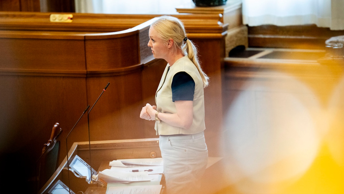 Minister kaldt i samråd efter sommerens togkaos: 'Dybt utilfredsstillende'
