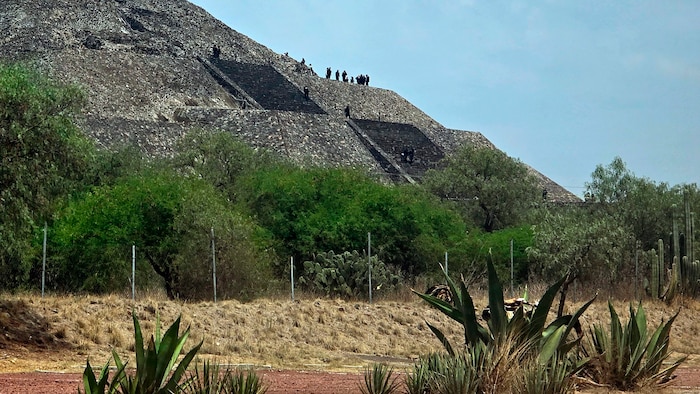 En dræbt og flere såret ved turistattraktion i Mexico | Nyheder | DR