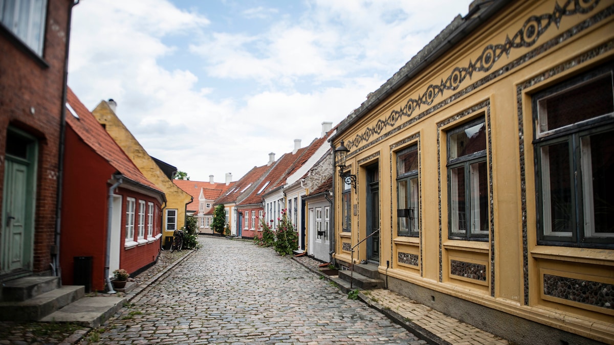 Øer kæmper med tomme huse og 'smutveje': Borgmestre vil have ny minister på banen