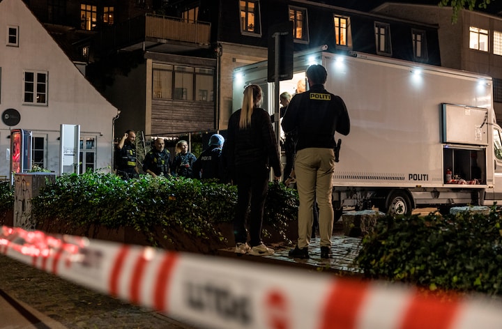 Billedet i artiklen