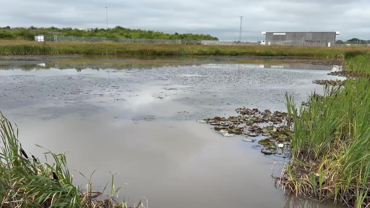 En million liter øl og sodavand er væltet, og nu er 2,5 kilometer bæk helt ødelagt