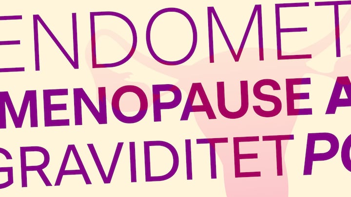 NRK har interviewet kronprinsesse Mette-Marit - muligvis om Epstein ...