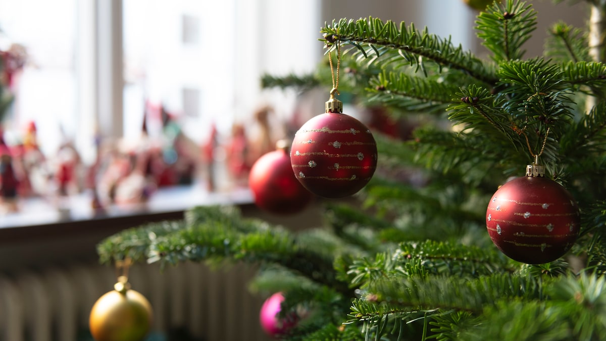 Jul uden gran i stuen: Salget af kunstige juletræer er stigende ...
