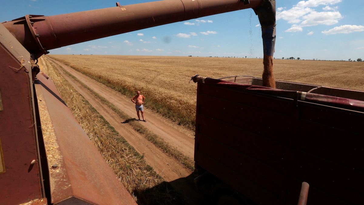 Krigen i Mellemøsten har skubbet ukrainske landmænd på randen af krise