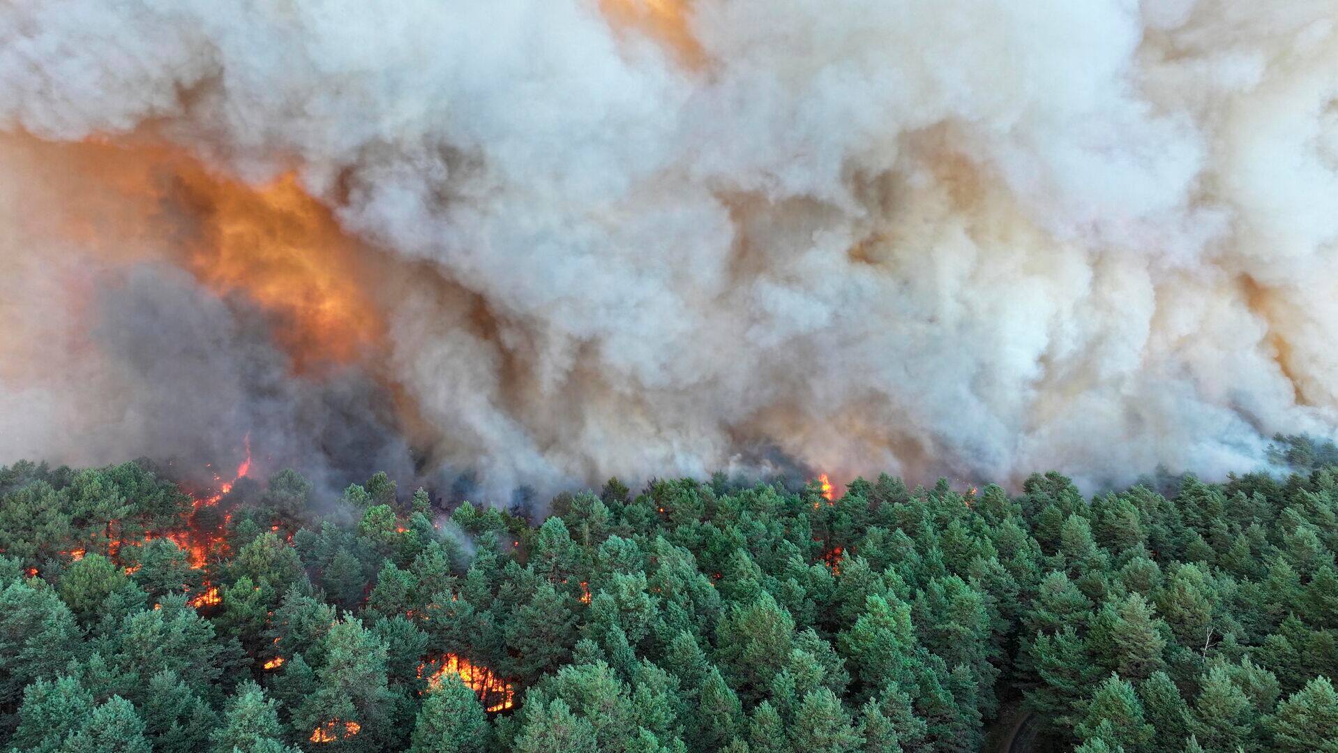 Voldsom skovbrand breder sig fortsat nær Paris