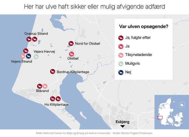 Se kortet: Nyt notat har gennemgået 13 ulveepisoder | Indland | DR