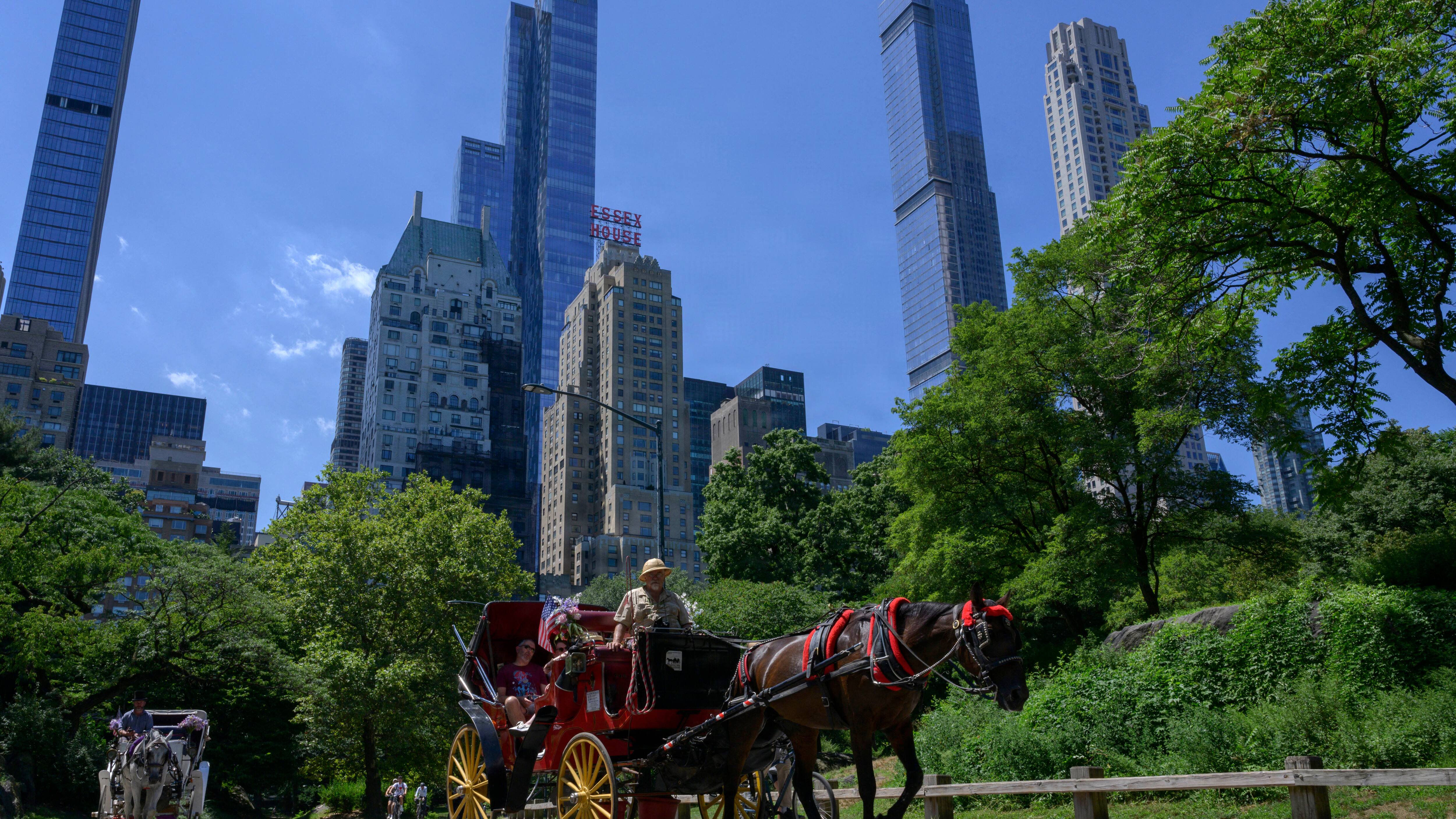 New York vedtager forbud mod hestevognskørsel i Central Park