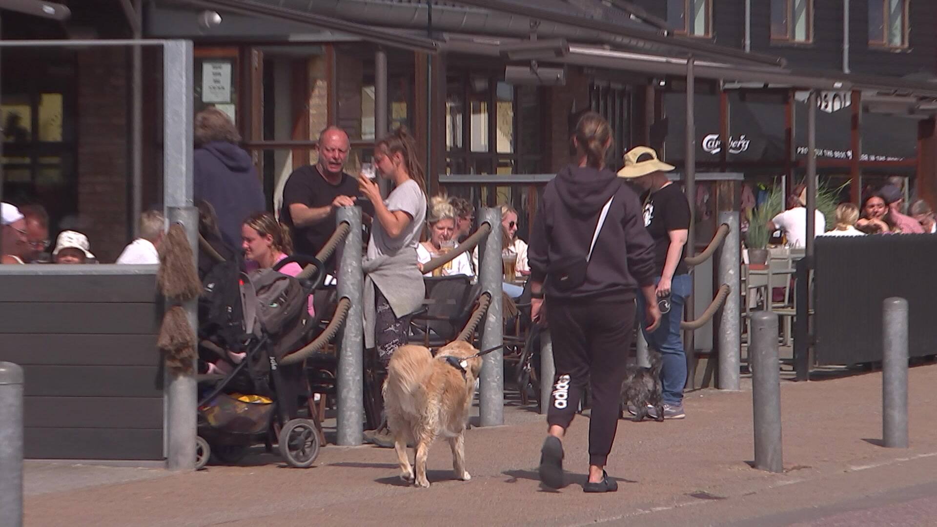 SF i kovending: Sidste år ville de have turistskat. Nu er den pakket væk