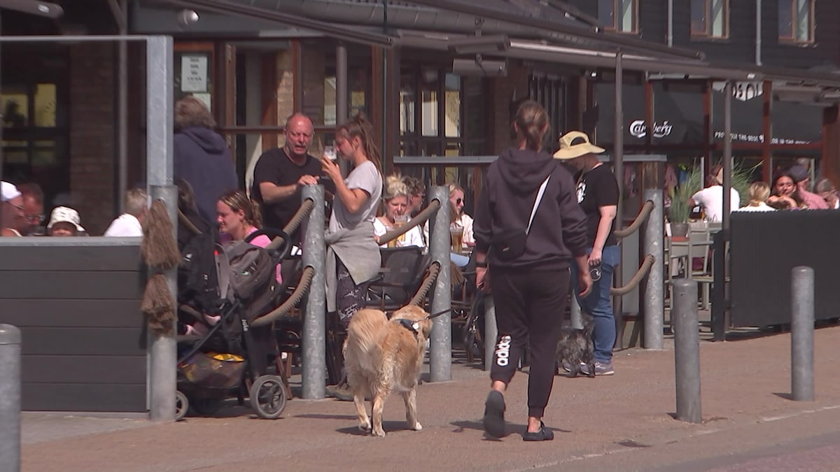 SF i kovending: Sidste år ville de have turistskat. Nu er den pakket væk
