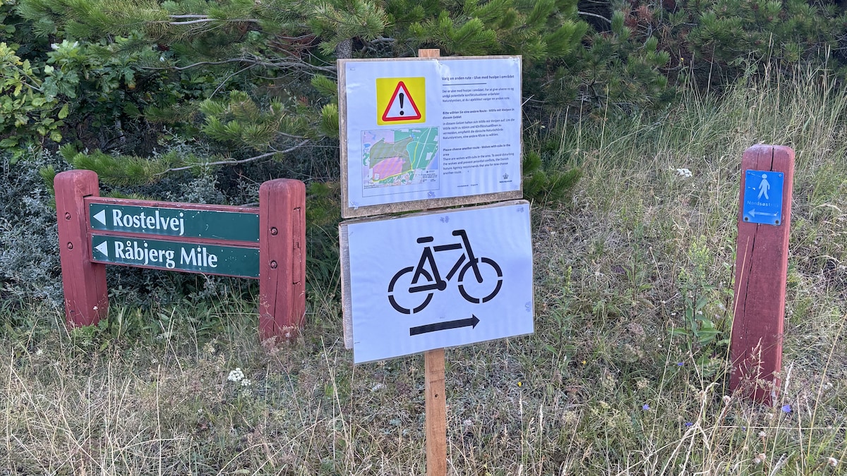 Ulv blottede tænder: Orienteringsklub overvejer at lade børnene løbe sammen med en voksen