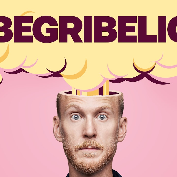 Ubegribeligt