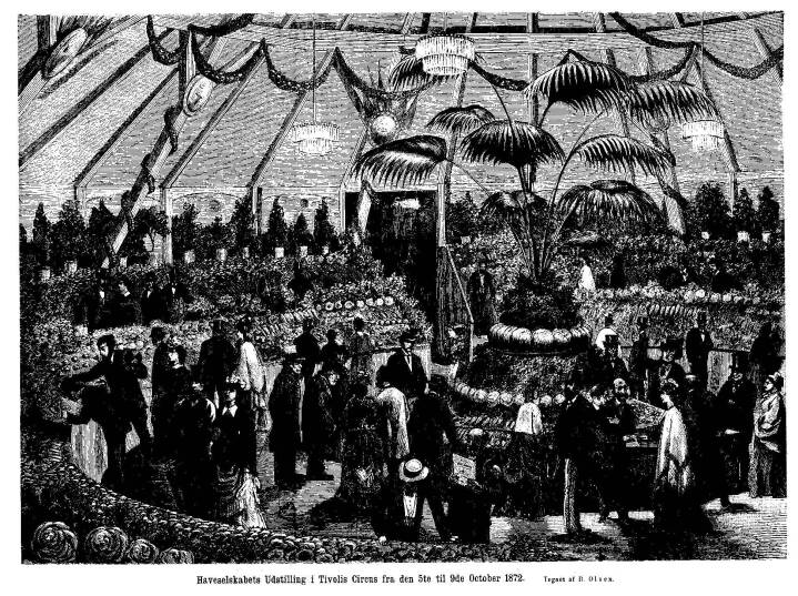 Haveselskabets udstilling i Tivoli i 1872.