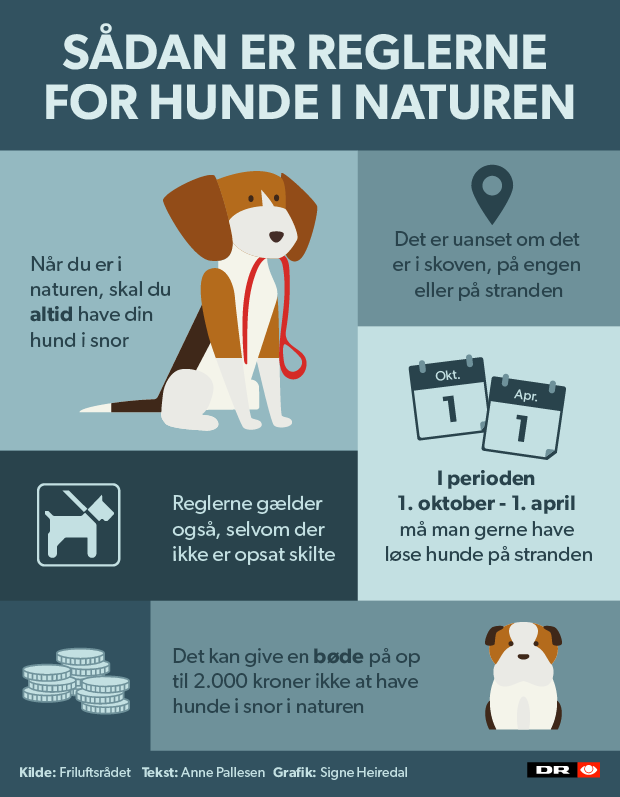 Pas på: Det kan koste dig hvis du ikke har din hund i snor | Midt- og Vestjylland | DR