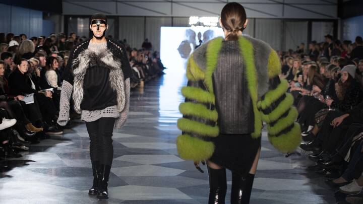 lære Start værdighed Modeekspert: De unge vil droppe pels, når Gucci gør det | Kultur | DR
