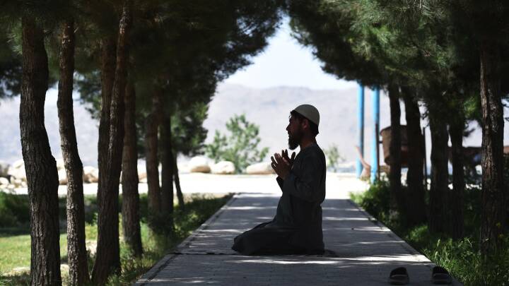 ånd Modernisering konvergens For første gang siden 2001: Taliban accepterer Eid-våbenhvile | Udland | DR
