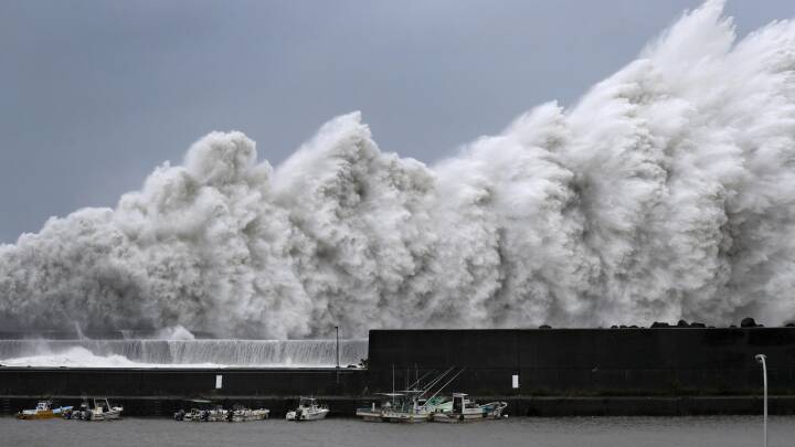 Tæt søsyge valg Japan ramt af den kraftigste tyfon i 25 år | Udland | DR