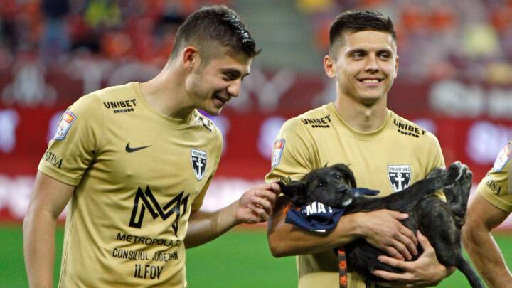 direktør toilet generøsitet Tilskuere tager på stadion og får en hund med hjem | Fodbold | DR