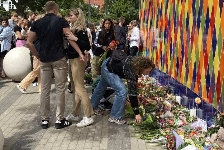 Diplomatiske spørgsmål Misbruge halstørklæde Ansatte i Tivoli Friheden lagde blomster før stormøde om gårsdagens  dødsulykke | Nyheder | DR
