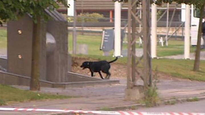 Hunde leder efter sprængstof Sydhavnen | | DR