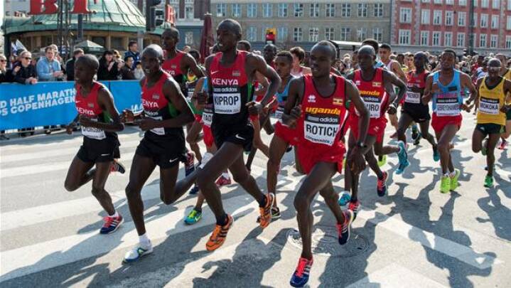 ventilation Egypten godt København får nyt halvmaraton i verdensklasse | Sport | DR