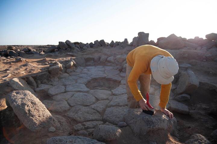 Arkæolog 14.000 år gammel brødkrumme: Det ligner fra bunden af min brødrister | Historie |