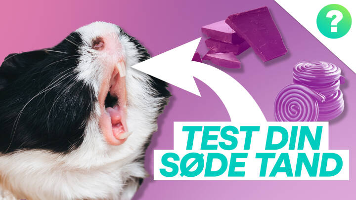 QUIZ: laserstråler og røde hund?! Test tand | Ultra Nyt | DR