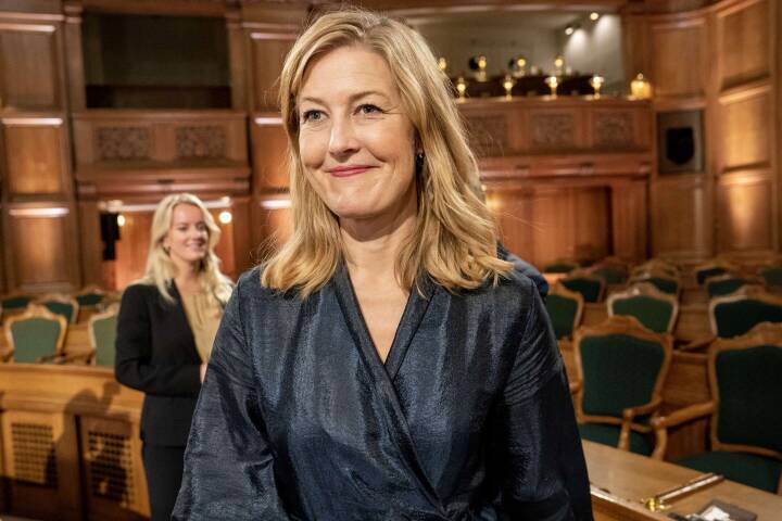 Sofie Nielsen forlader dansk politik til job i Dansk Industri | Politik | DR