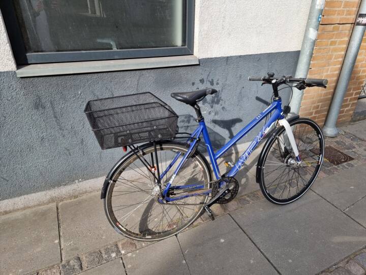 Josefine fandt stjålne cykel til salg med nyt stelnummer: Nu vil forsikringsbranchen politiets beføjelser | Indland | DR