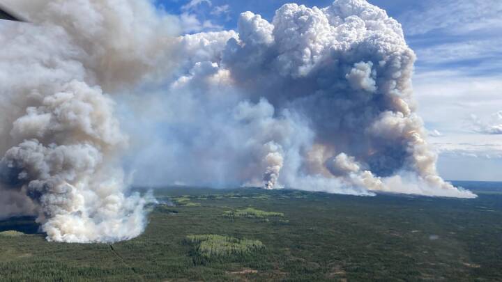 Ekspert om ny skovbrand-sæson i Canada: Zombie-brande er på spil 