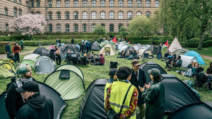 Københavns Universitet afbryder al dialog med studerende i teltlejr