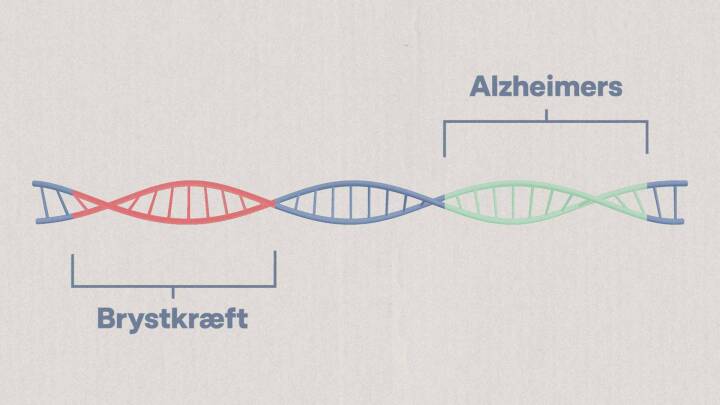 Dine gener er opskriften på dig: Så hvor mange hemmeligheder kan de afsløre?