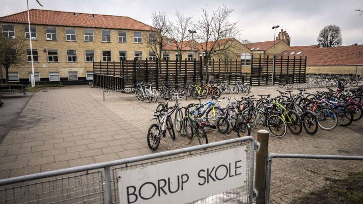 Frifindelse af kommune i sag om Borup Skole skal tages med 'stort gran salt', mener professor