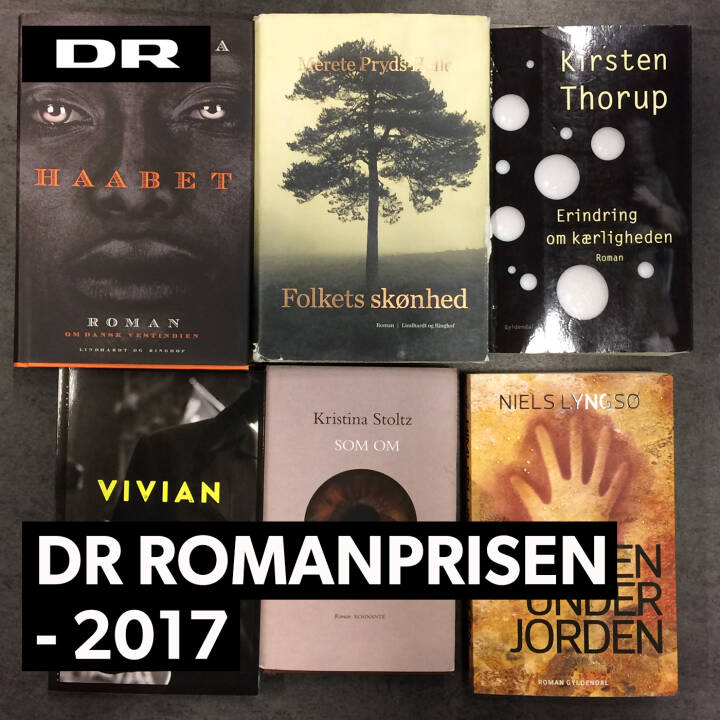 DR Romanprisen 2017