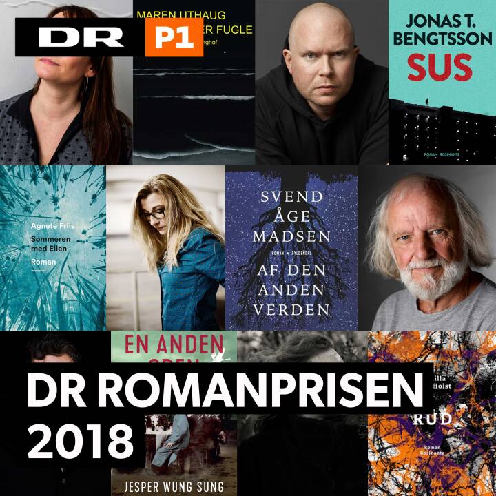 DR Romanprisen 2018