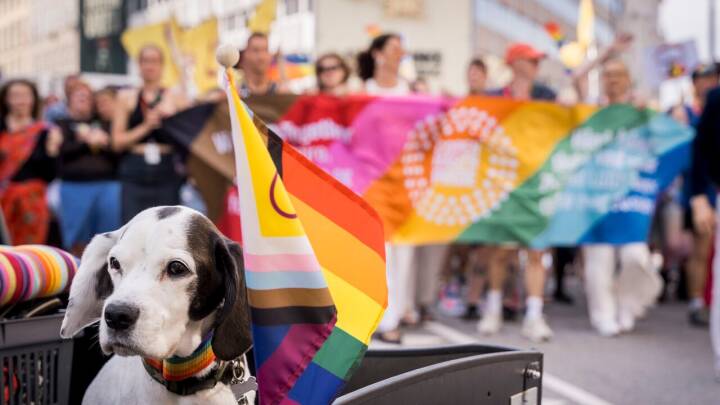 Nykredit sætter støtte til Copenhagen Pride på pause