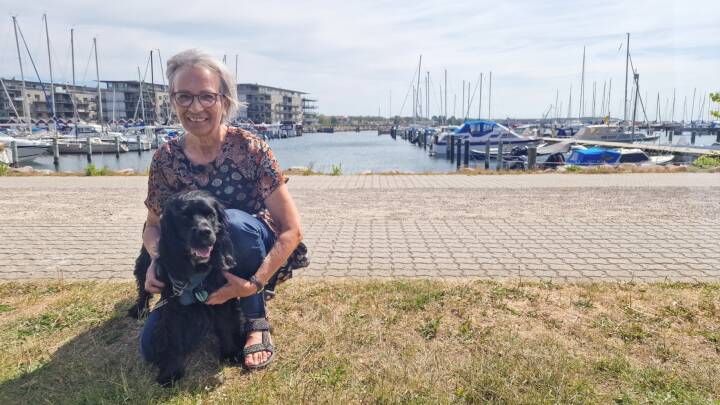 Ønsker hundelegeplads på havn - men krav om hundredvis af underskrifter får borgerforslag til at strande