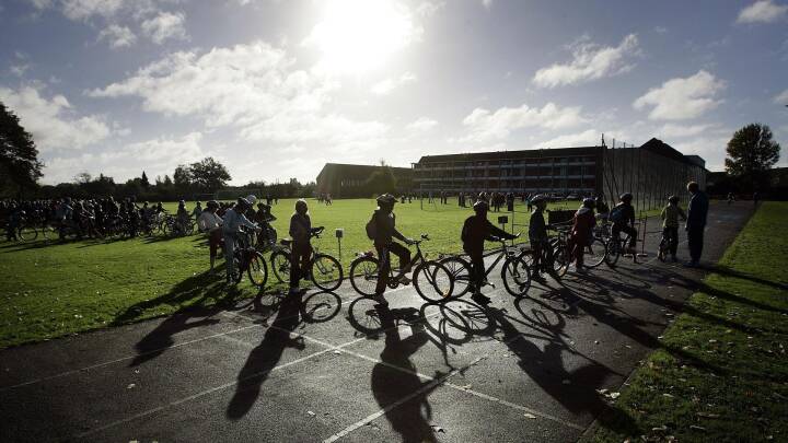 Danmarks største idrætsskoleprojekt droppes: En katastrofe, siger professor