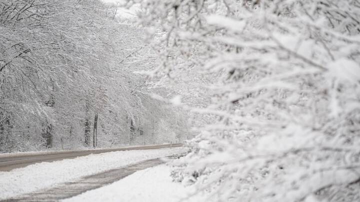 Kraftigt snevejr i store dele af landet: Her fortsætter det med at sne